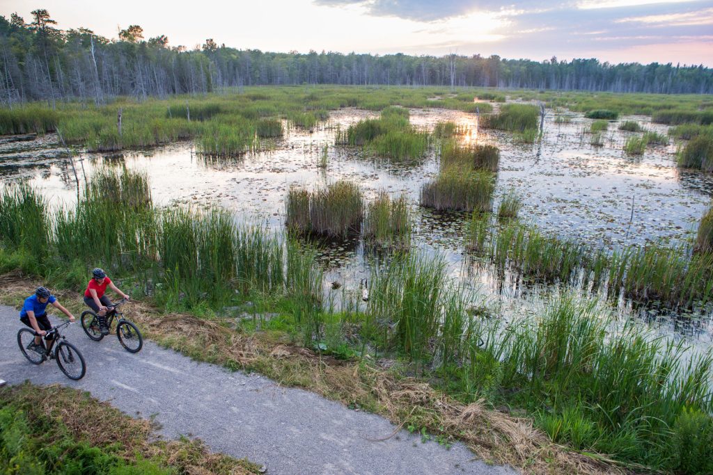 Lindsay Tract picture