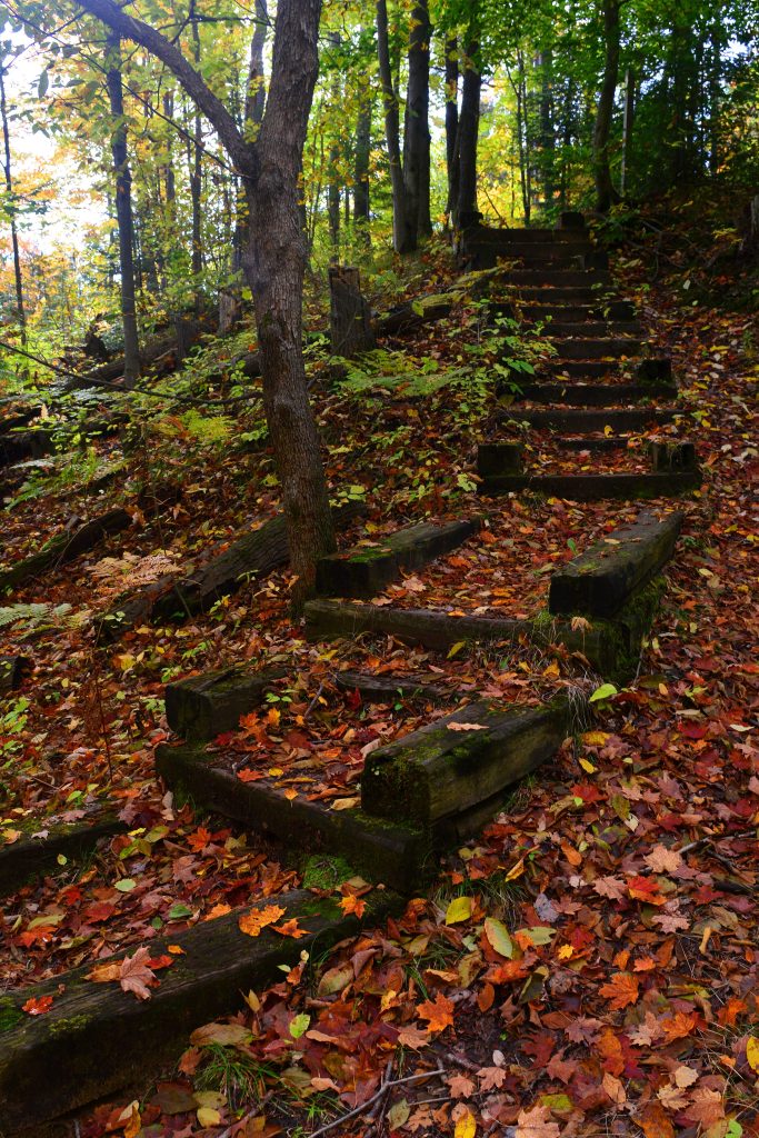 Sauble Falls Provincial Park picture