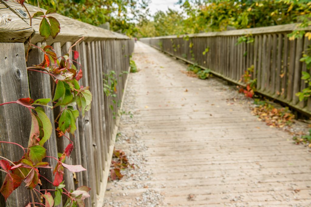 Bruce County Rail Trail – Bruce County Trails