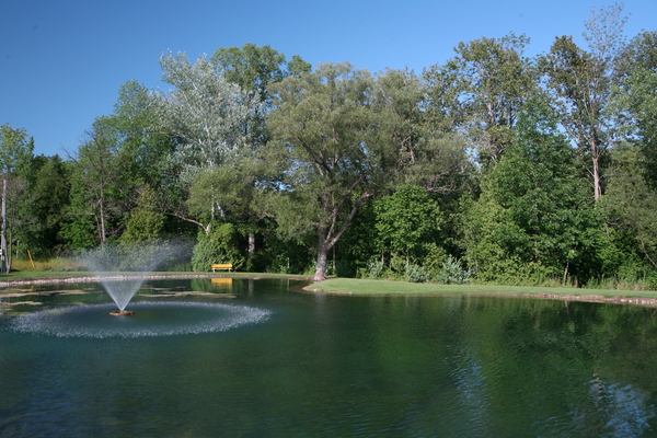 Mildmay Lions Wilderness Park picture