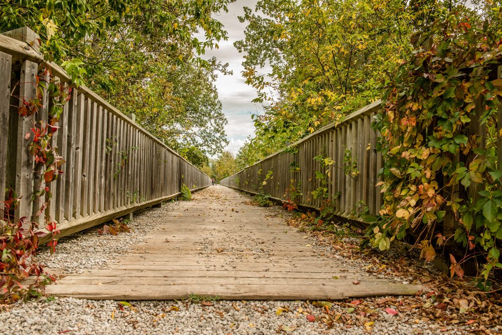 Bruce County Rail Trail picture