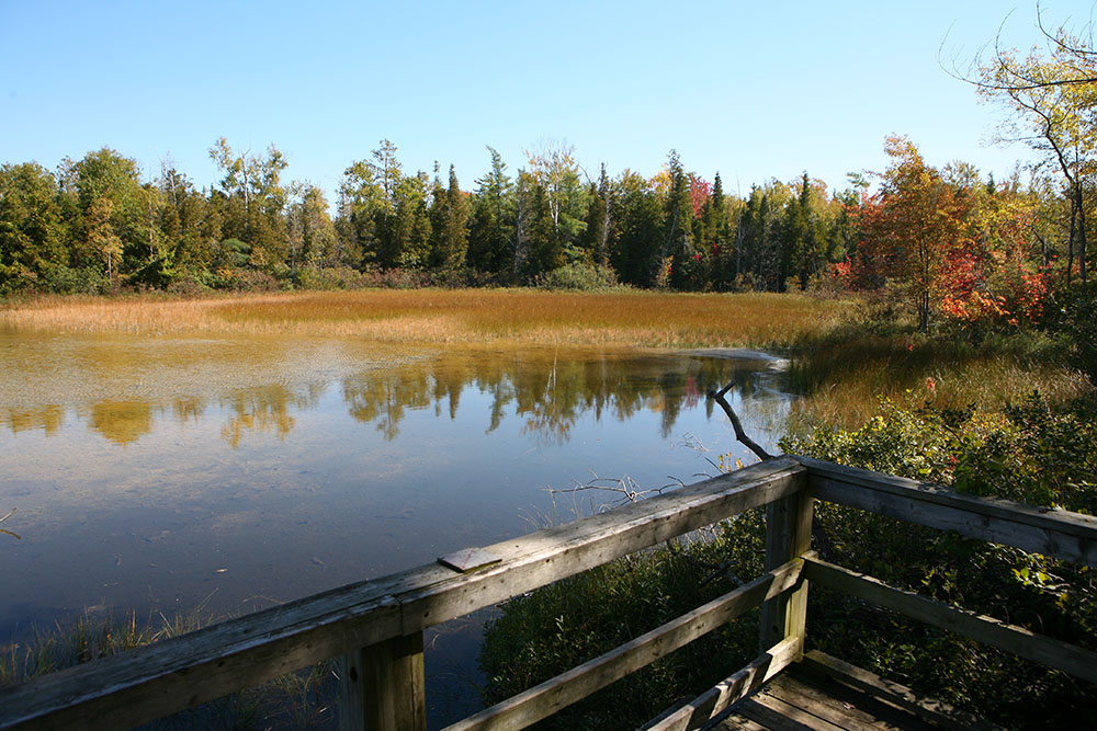 MacGregor Point Provincial Park picture