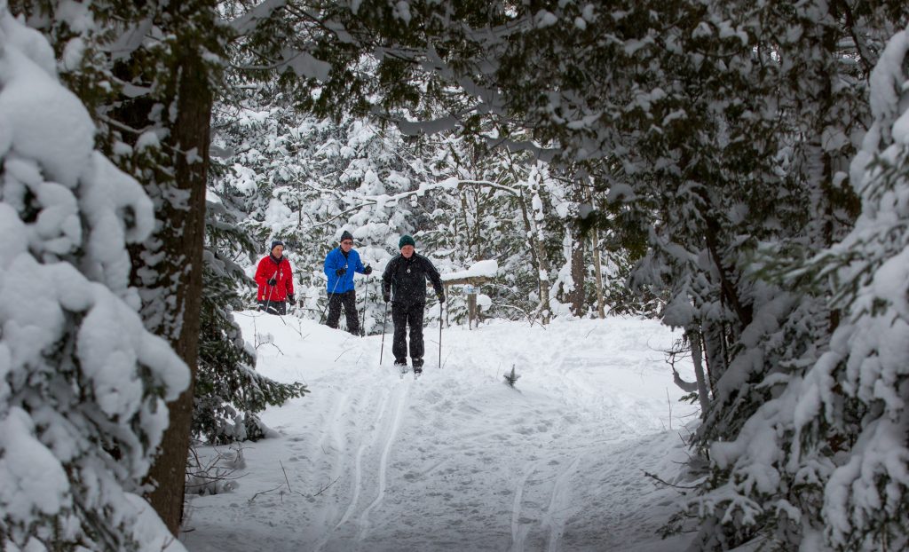 Sawmill Ski Trail picture